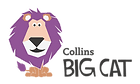Logo Big Cat